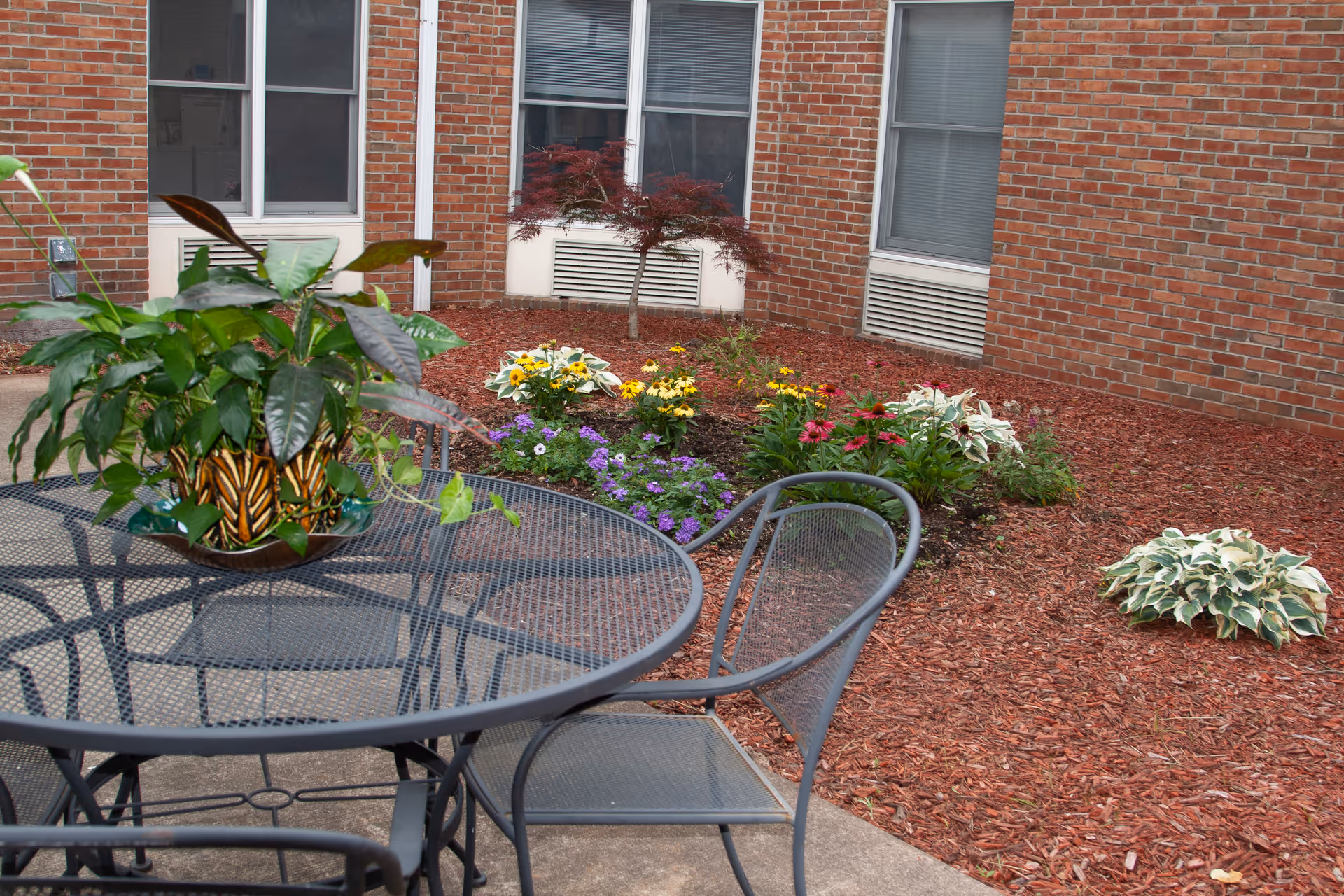 Photo 17 of Independence Court of Monroeville - Enhanced Personal Care and Memory Care Community