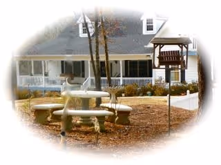 Photo 4 of Olive Branch