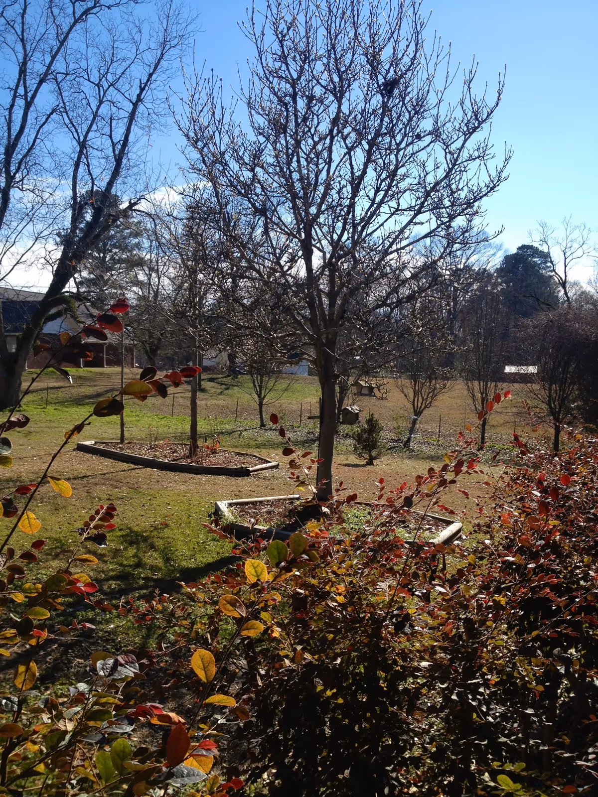 Photo 7 of River Birch Estate Personal Care Assisted Living
