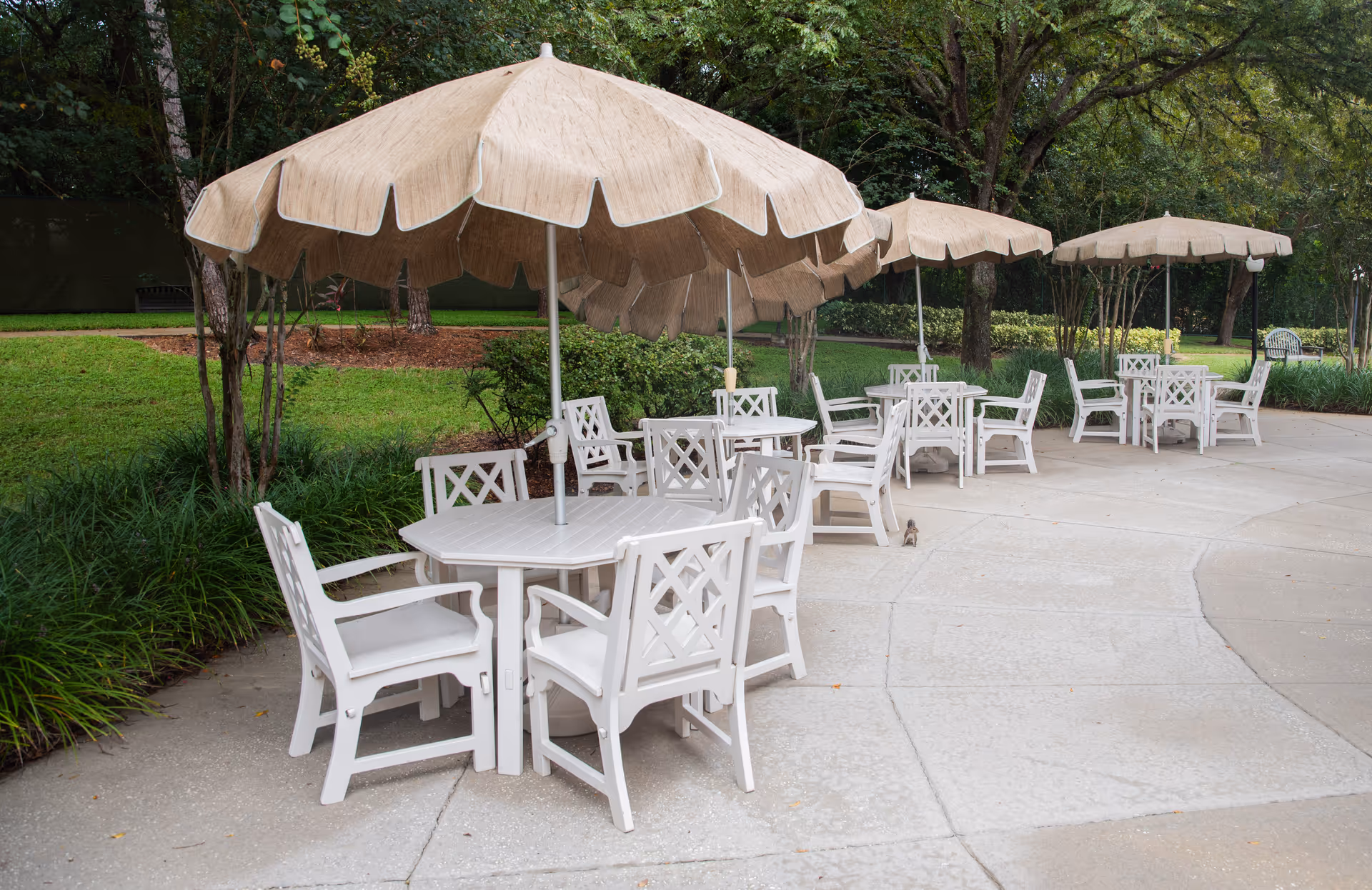 Photo 17 of Arden Courts - ProMedica Memory Care Community (Palm Harbor)