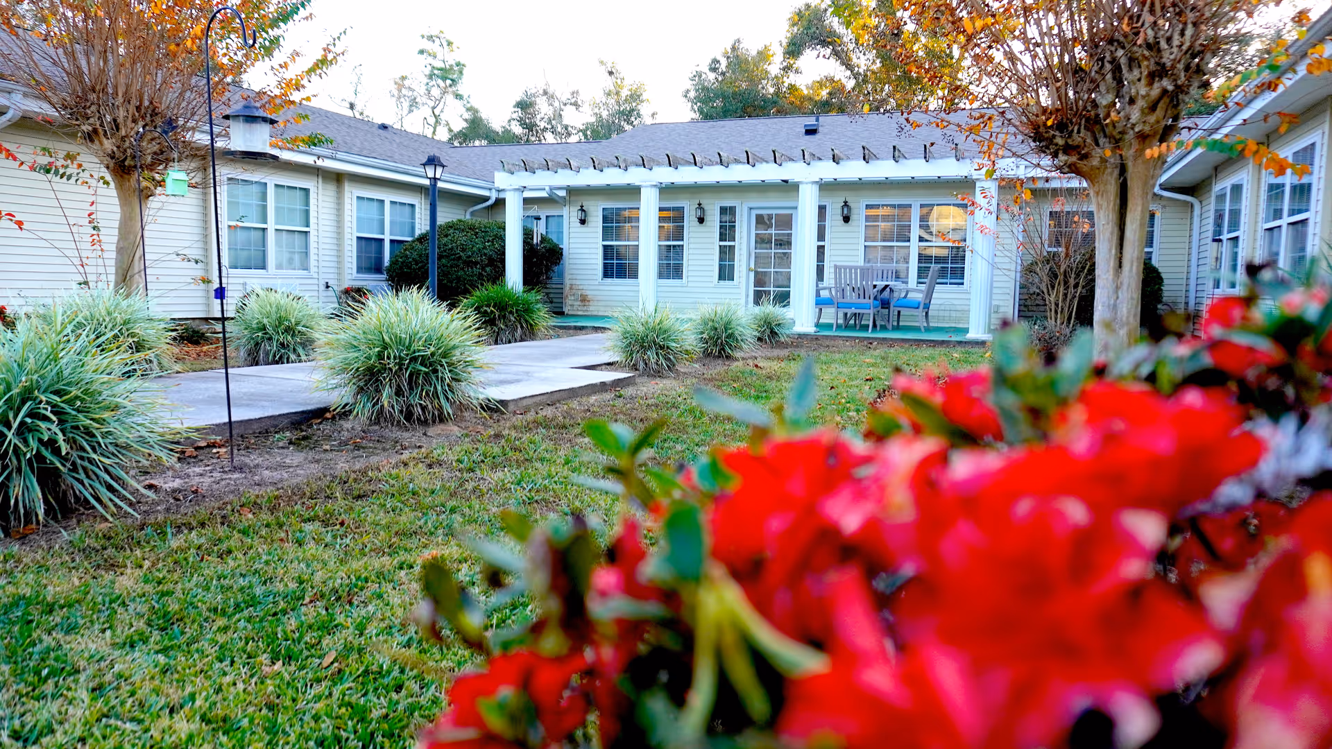 Photo 5 of Sodalis Milton