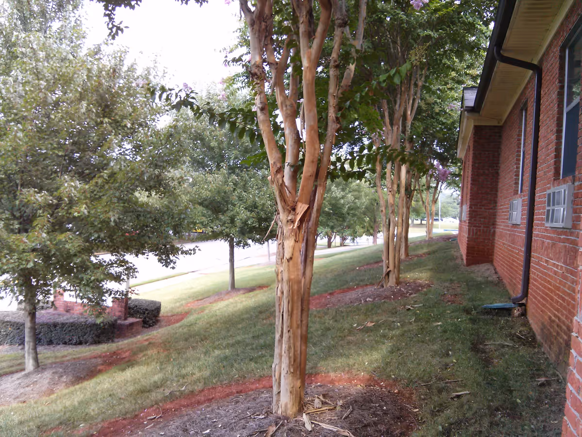 Photo 4 of Highlands Senior Living South