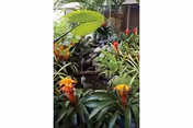 Photo 7 of Life Care Center of Hilo