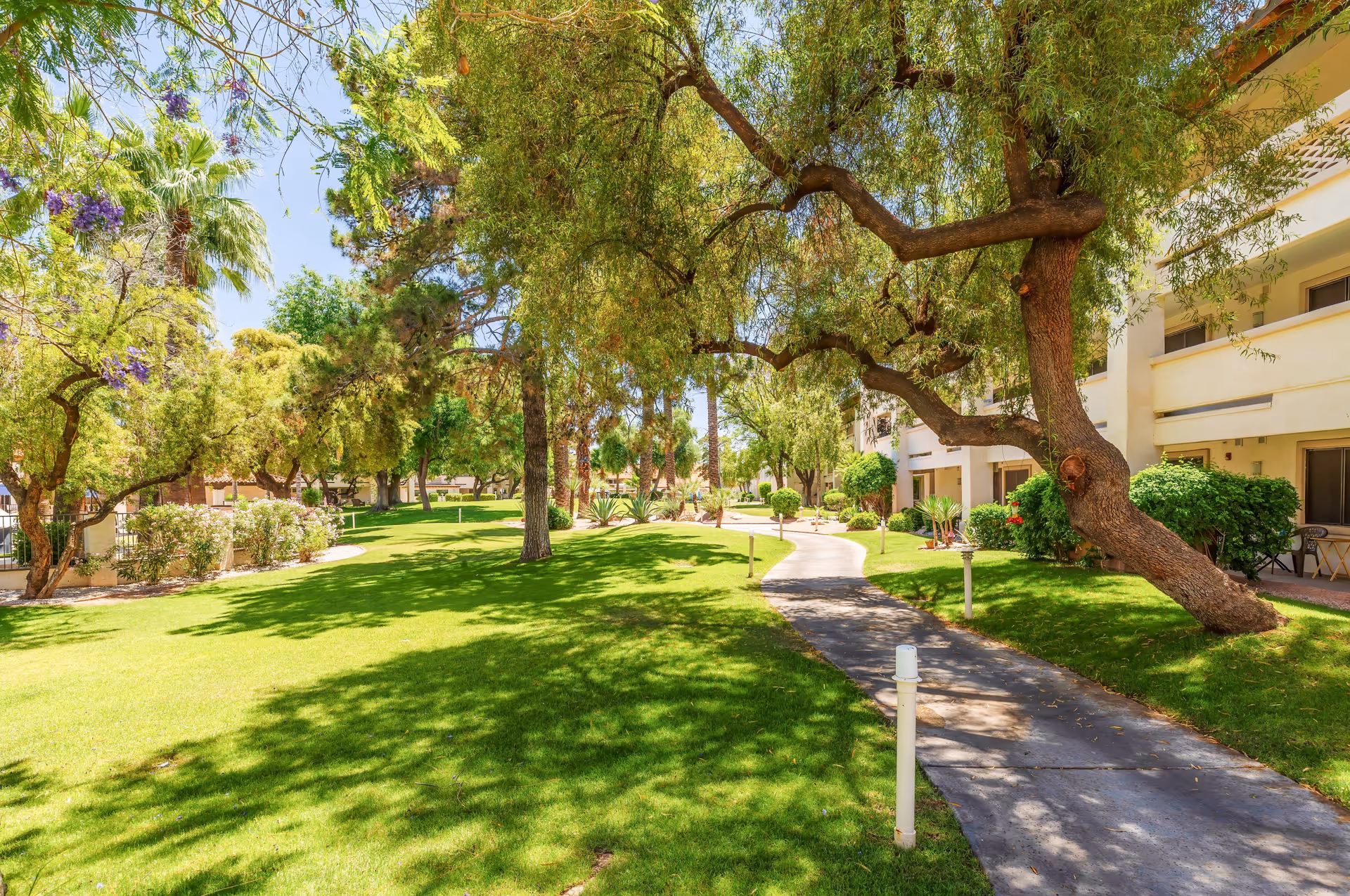 Photo of Park Terrace Senior Living by Cogir