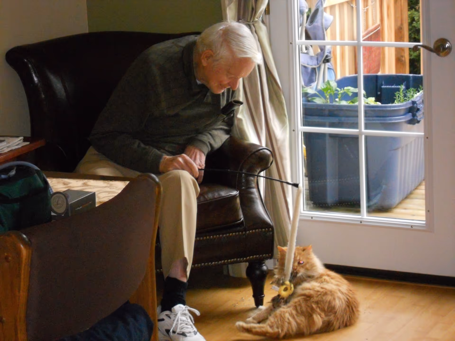 Photo 3 of Young at Heart