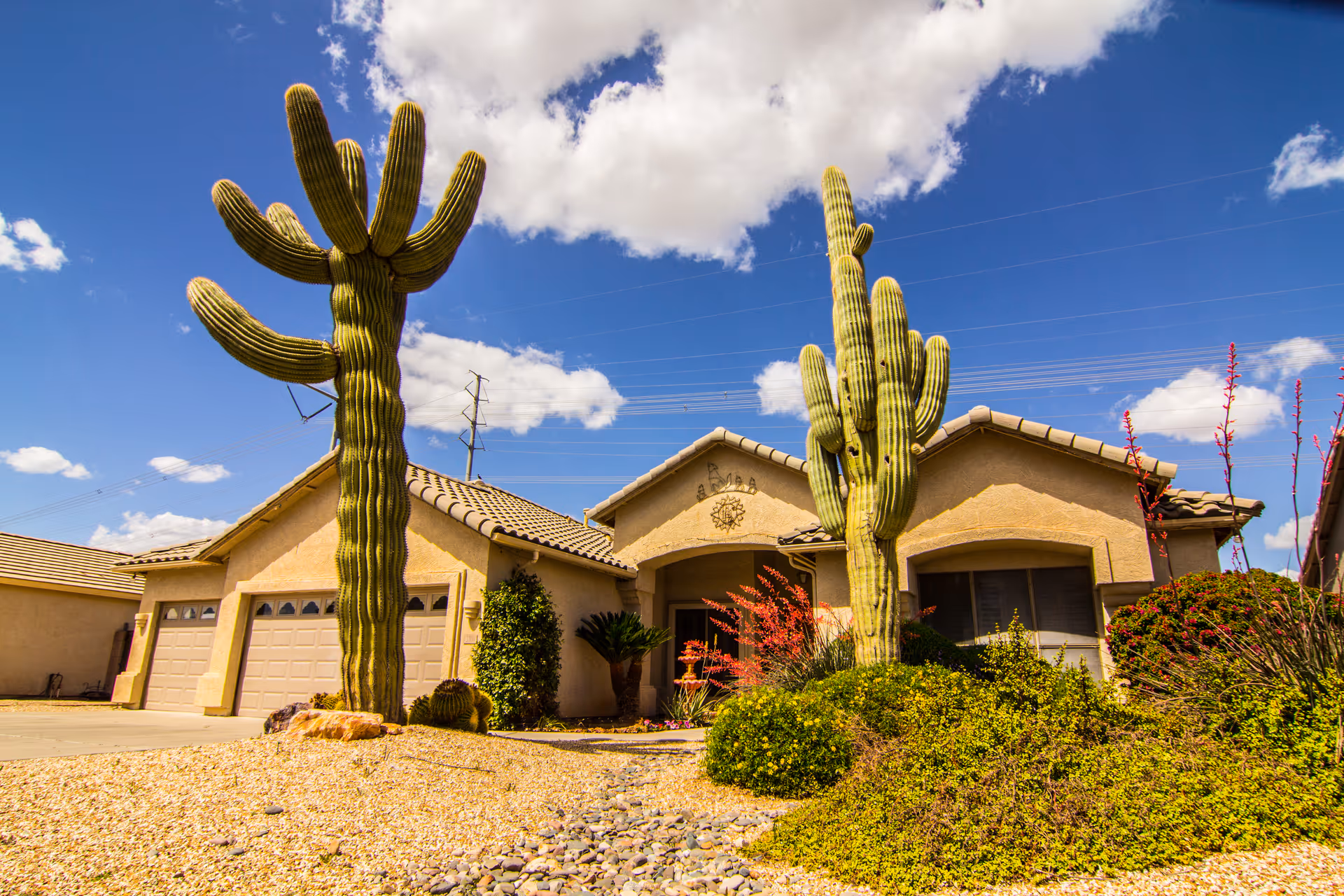 Photo of Leisure Gardens Assisted Living Home