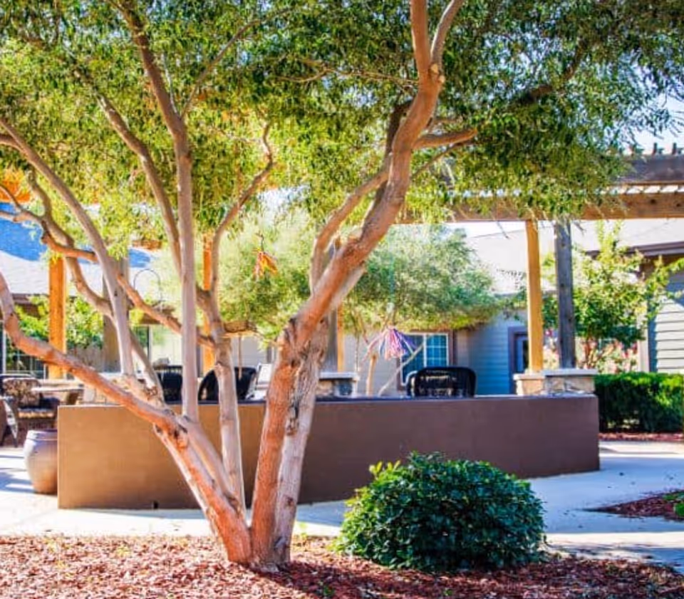 Photo 8 of Legacy Ranch