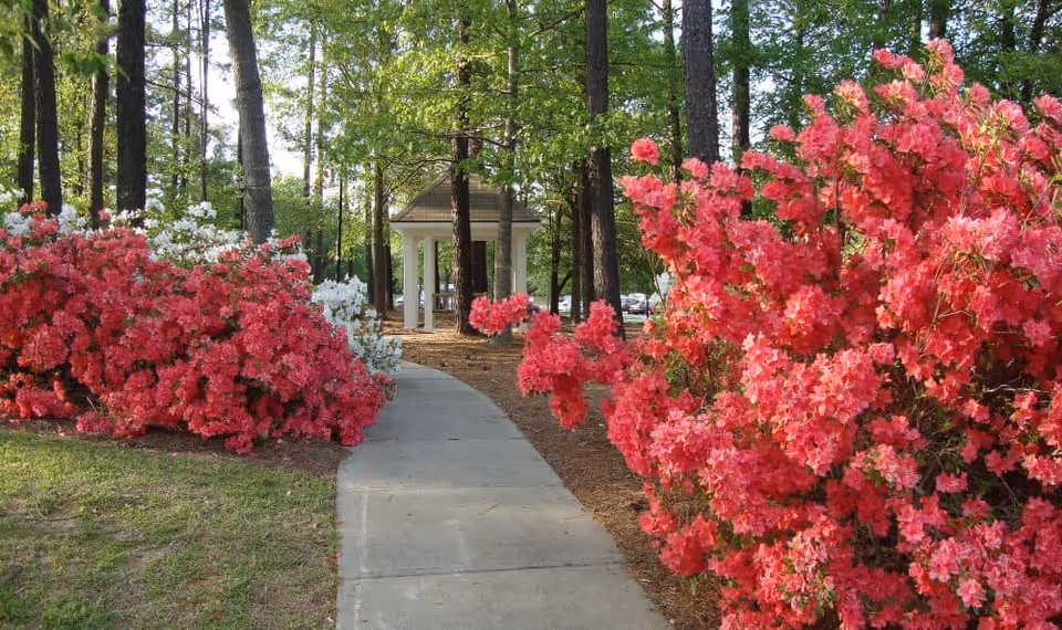 Photo 13 of The Columbia Presbyterian Community