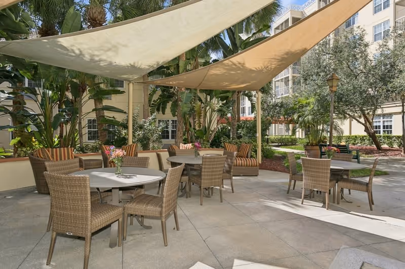 Photo 8 of Stratford Court of Palm Harbor