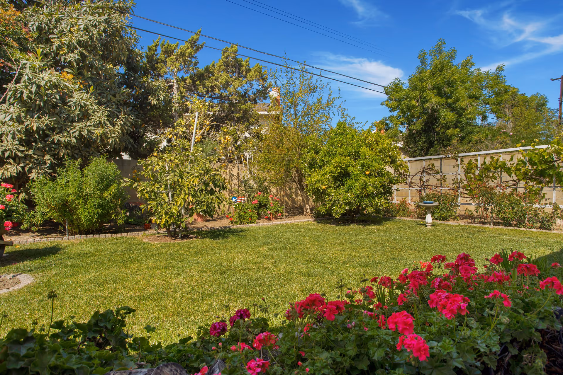 Photo 5 of Celestial Garden