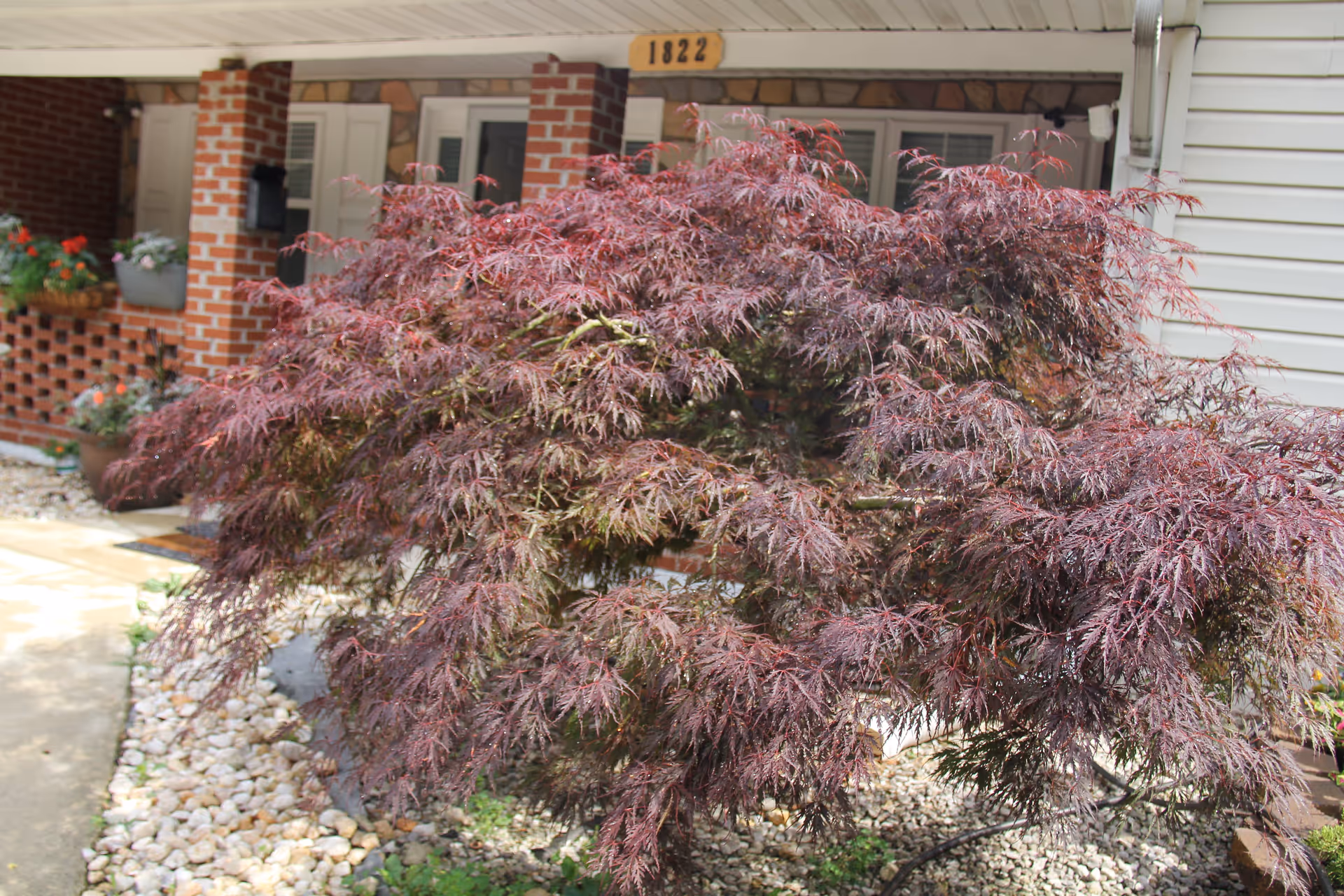 Photo 41 of Rose garden residence