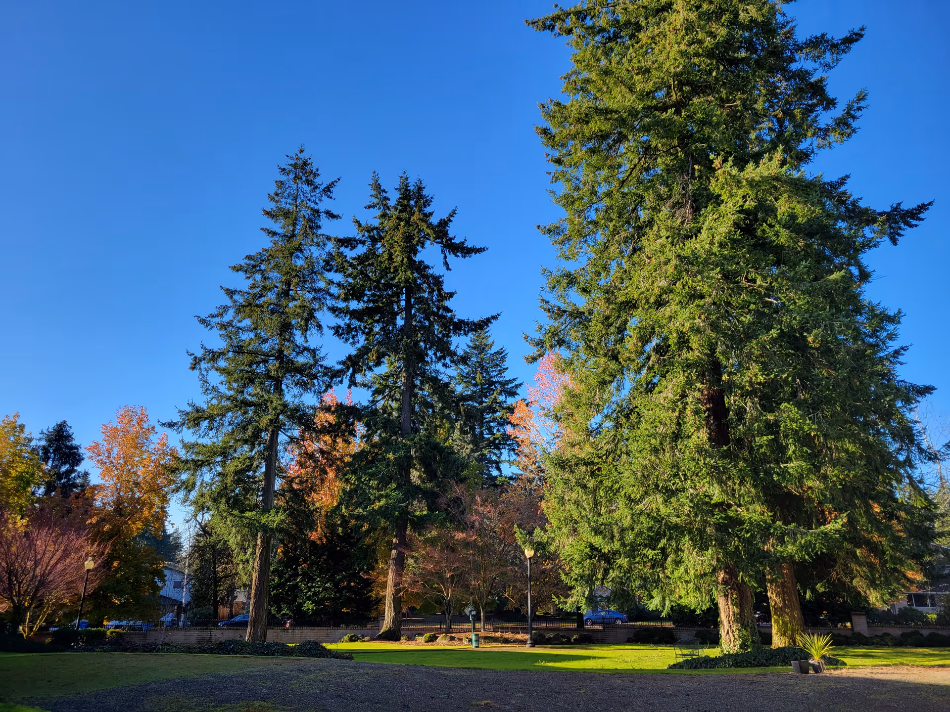 Photo 3 of Truewood by Merrill, Vancouver