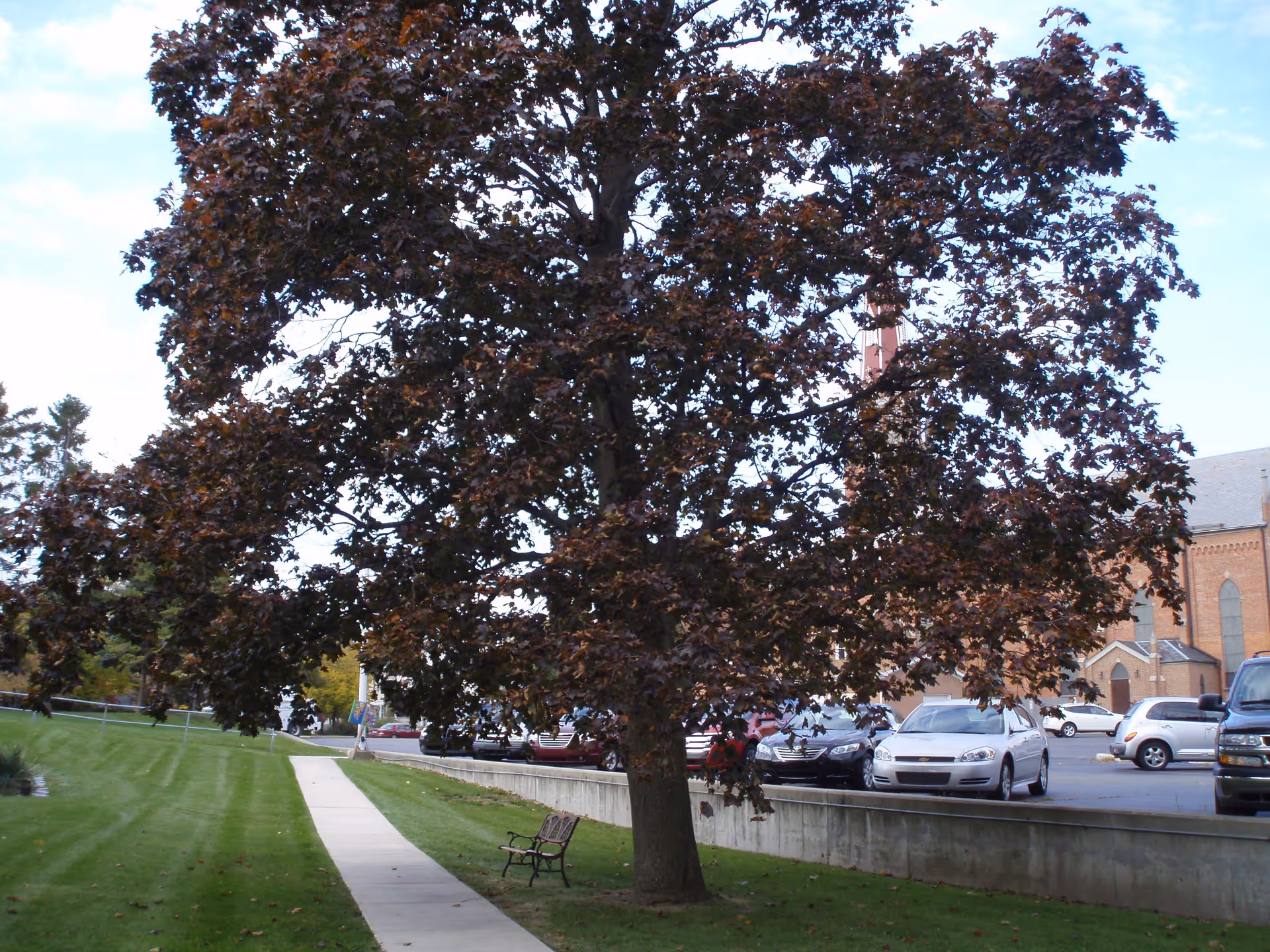 Photo 5 of Marian Place
