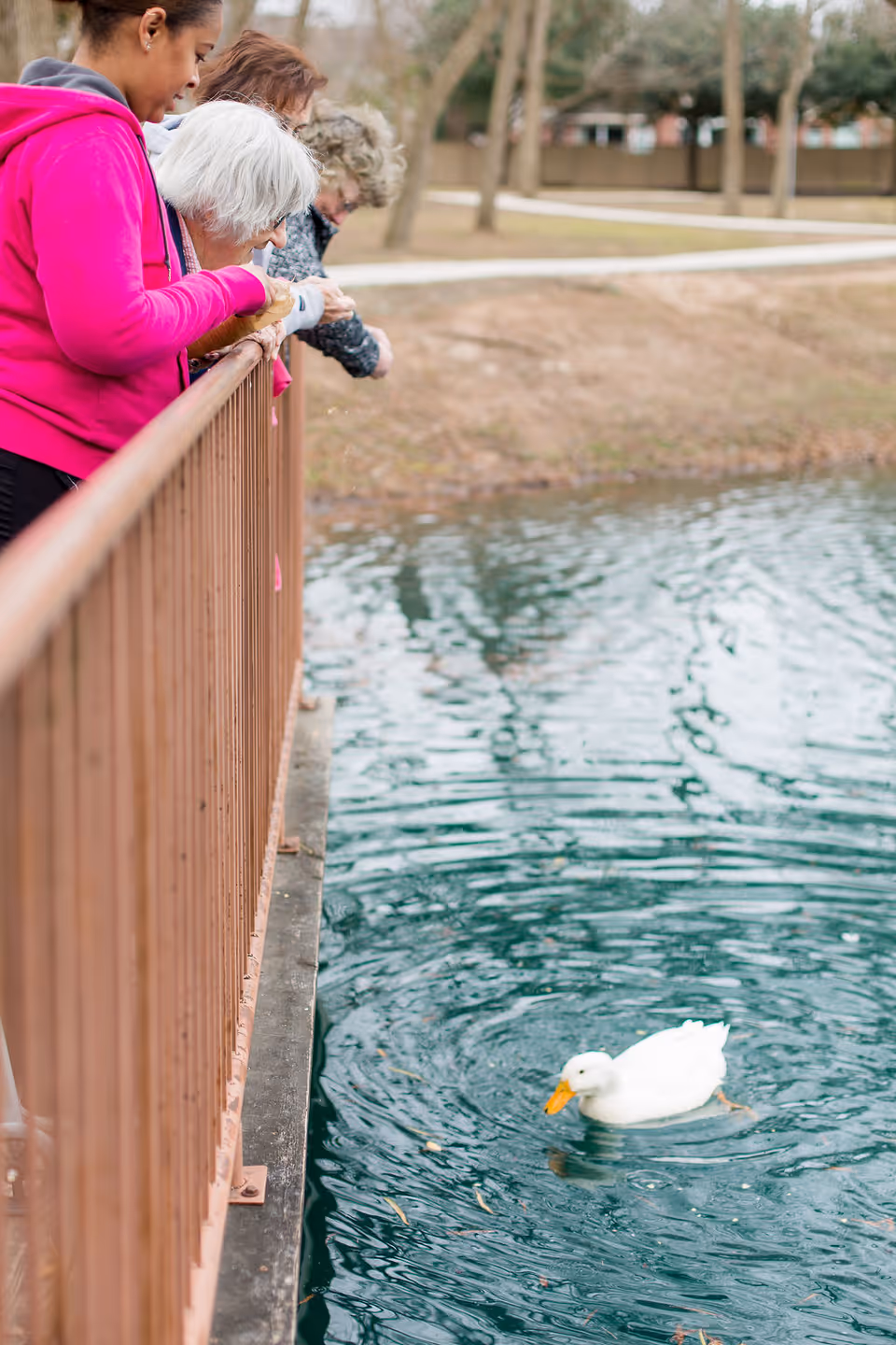 Photo 7 of Sundara Senior Living