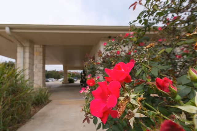 Photo 6 of Sonterra Health Center