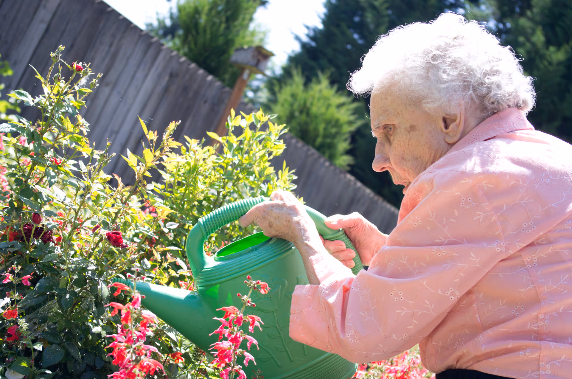 Photo 20 of Jurgens Park Senior Living