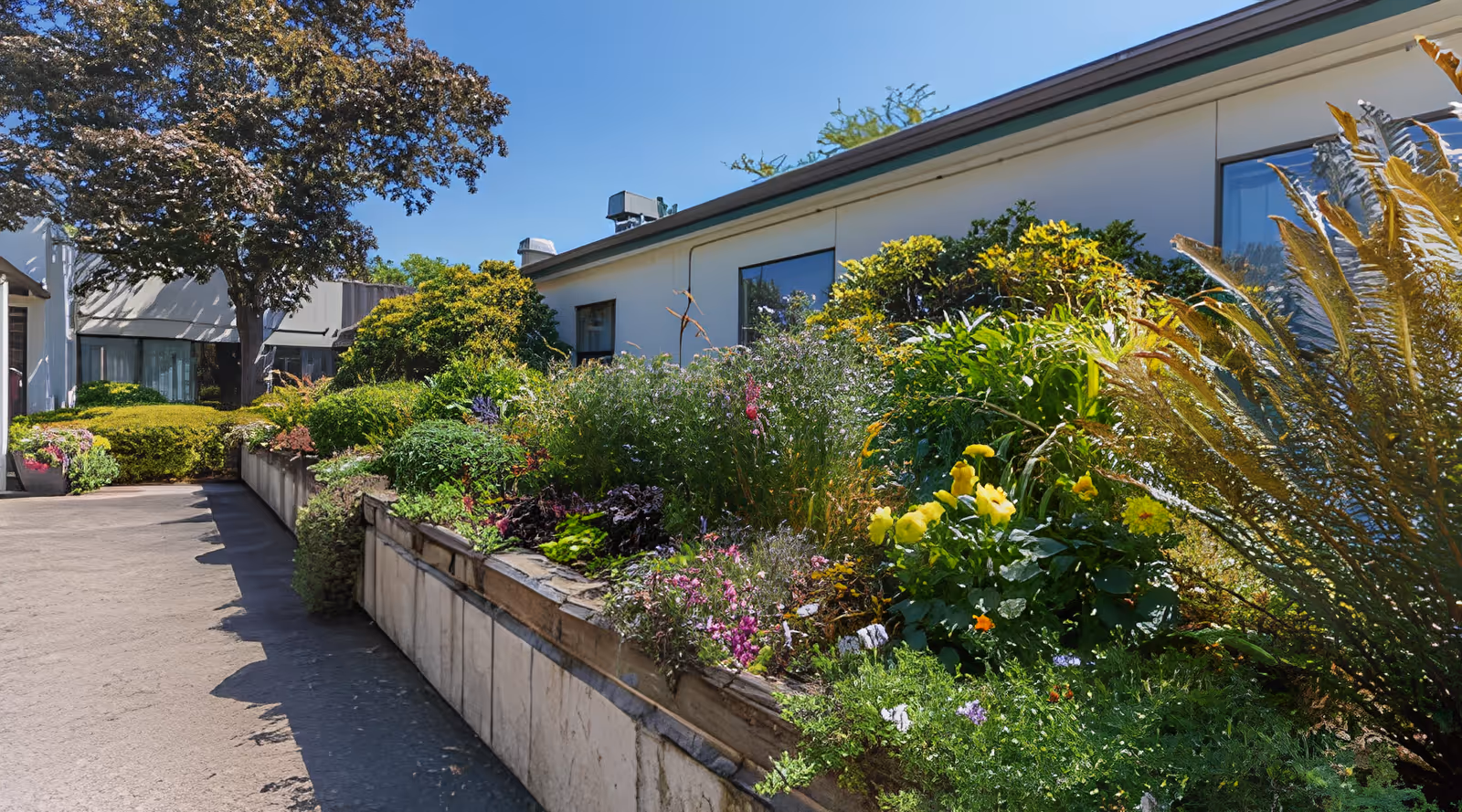 Photo 4 of Umpqua Valley Nursing & Rehabilitation Center