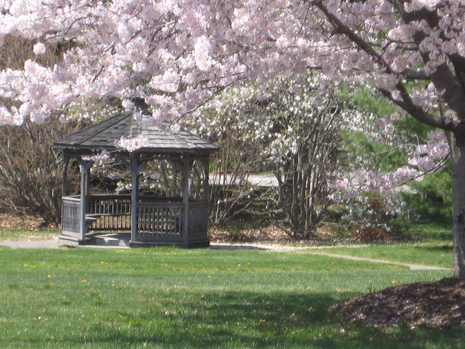 Photo 30 of Pickersgill Retirement Community