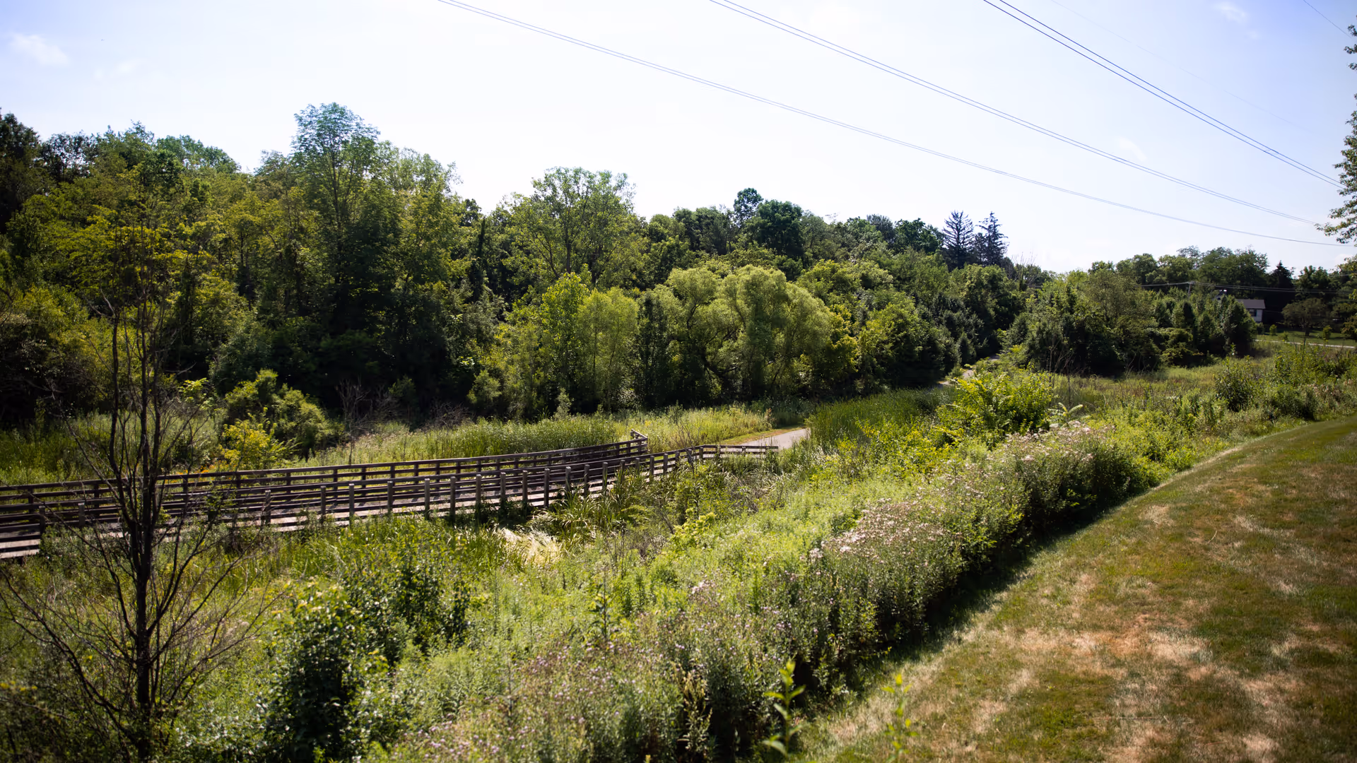 Photo 5 of Zionsville Meadows