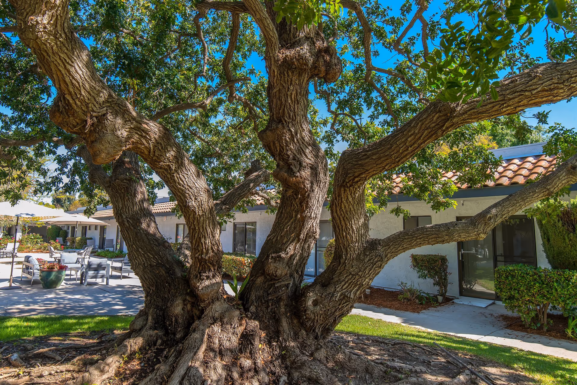 Photo 2 of Aasta Assisted Living of Camarillo