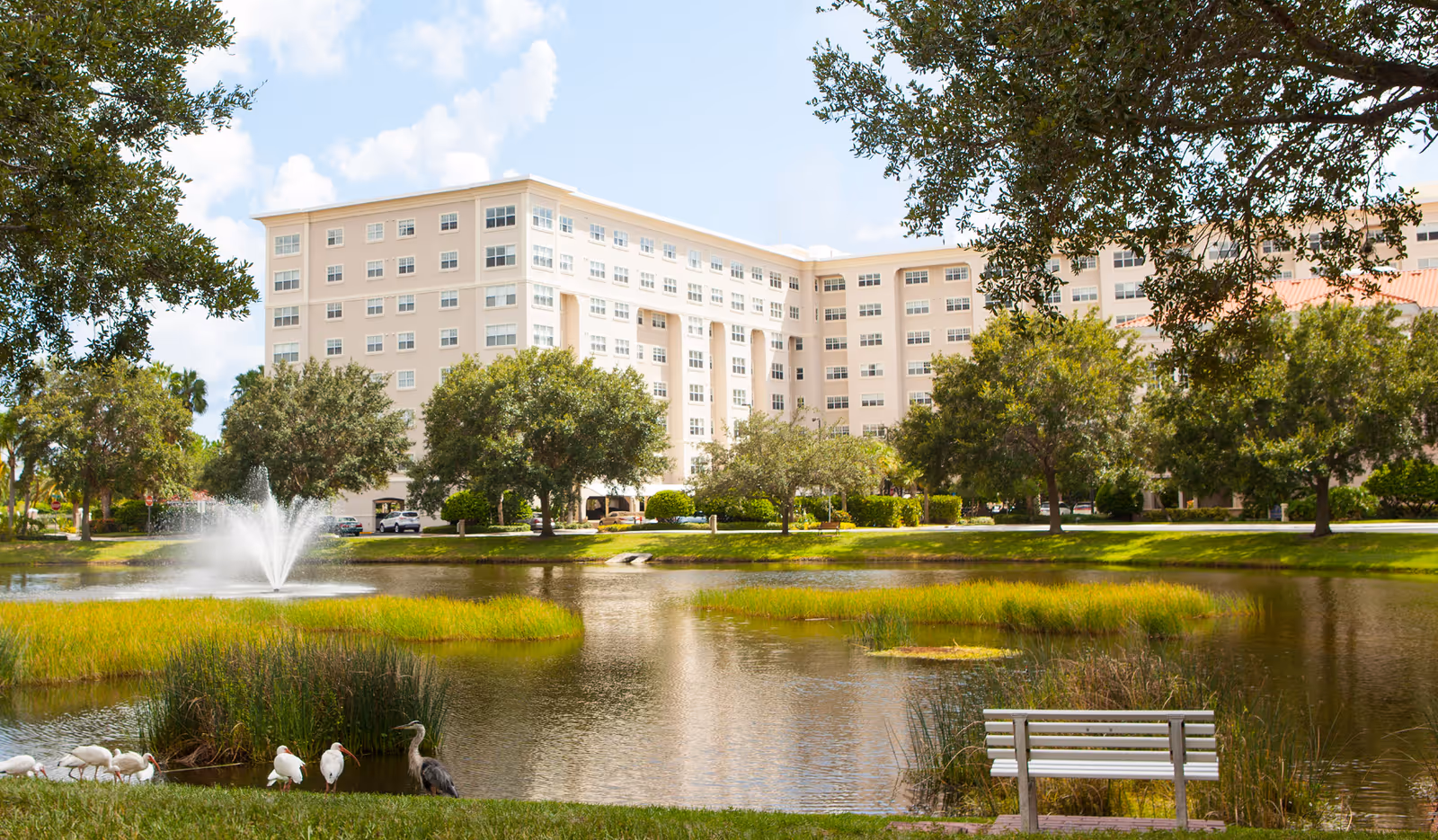Photo 2 of Jacaranda Trace