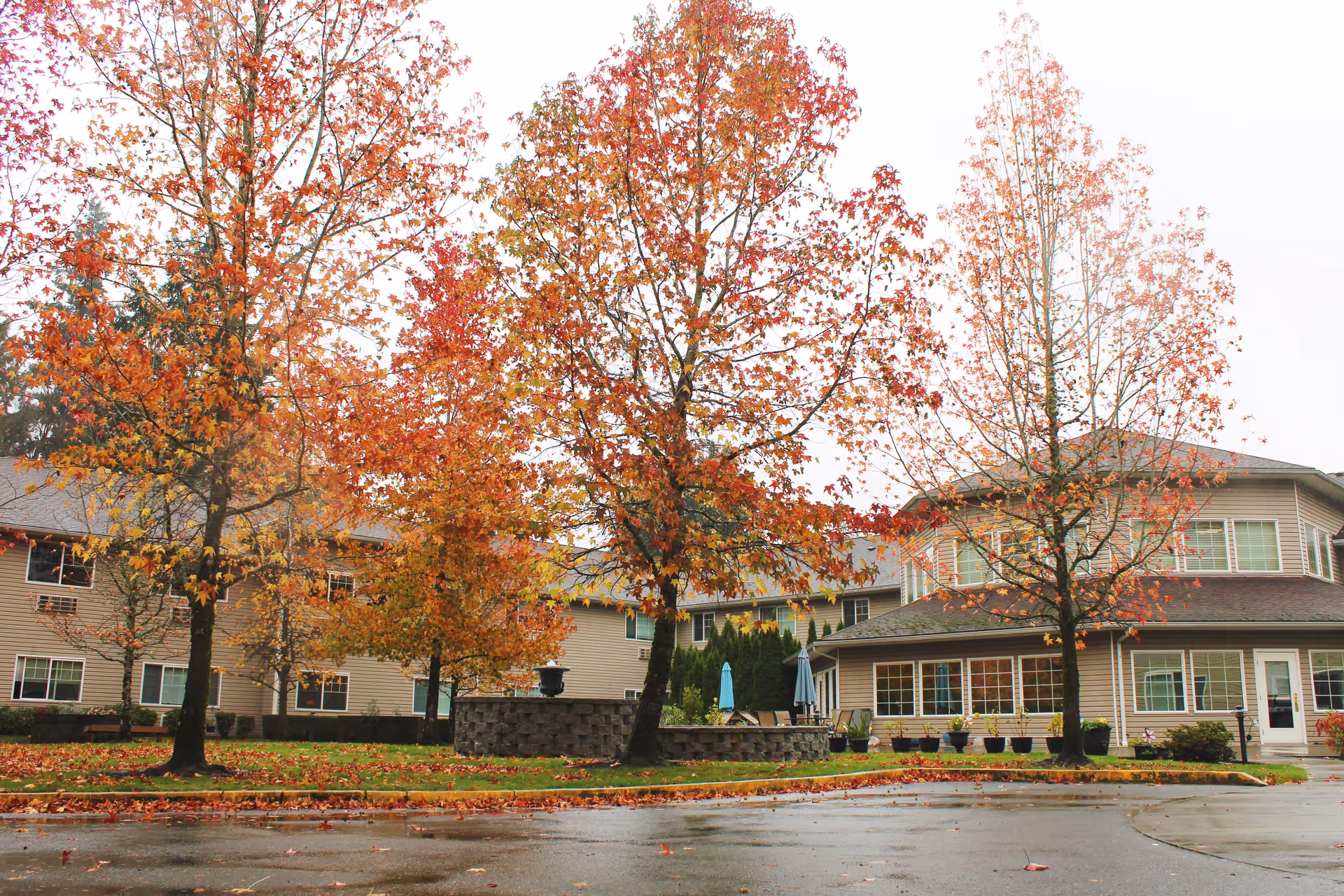 Photo 4 of Normandy Park Senior Living