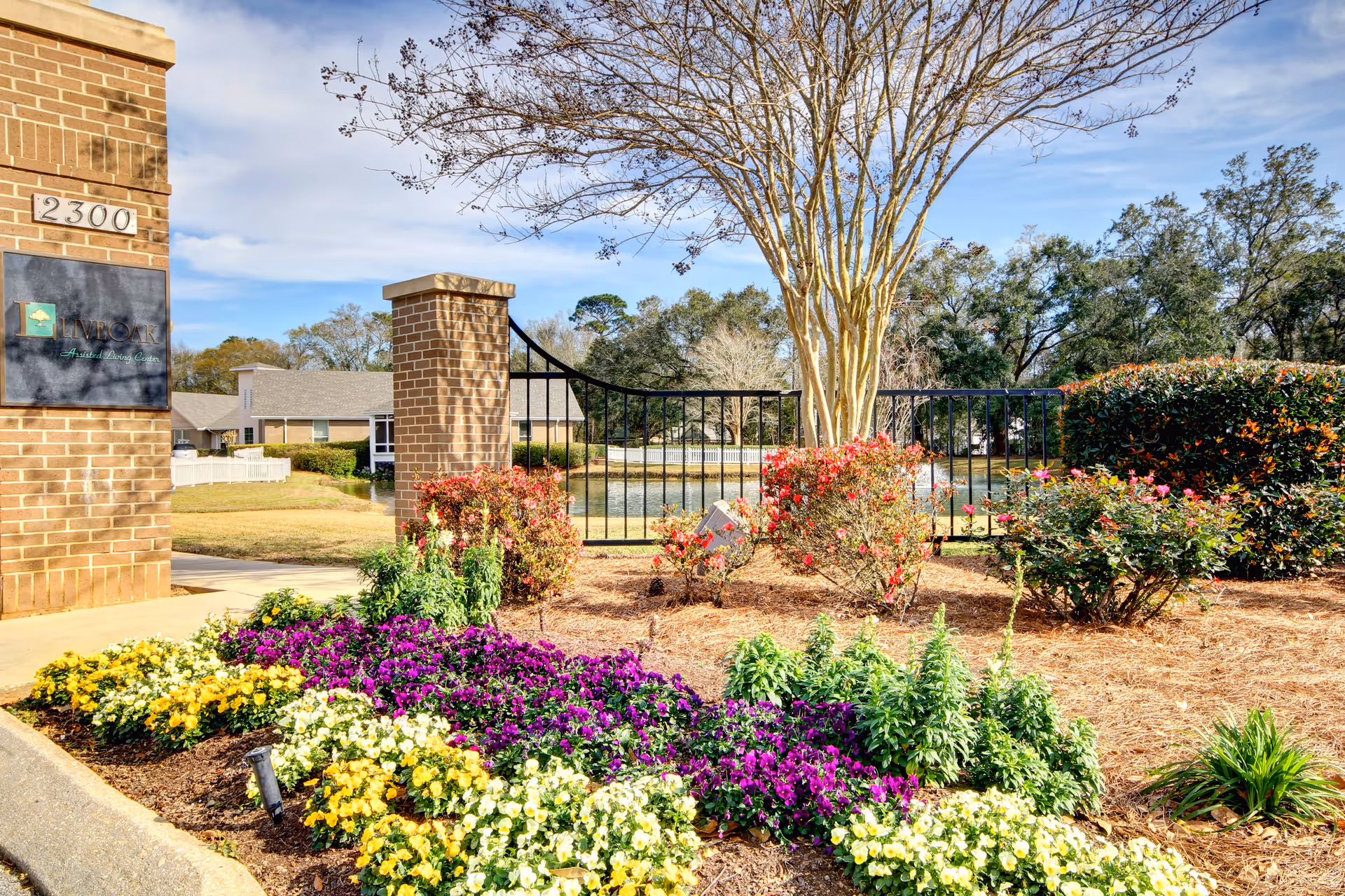 Photo 4 of Live Oak Village