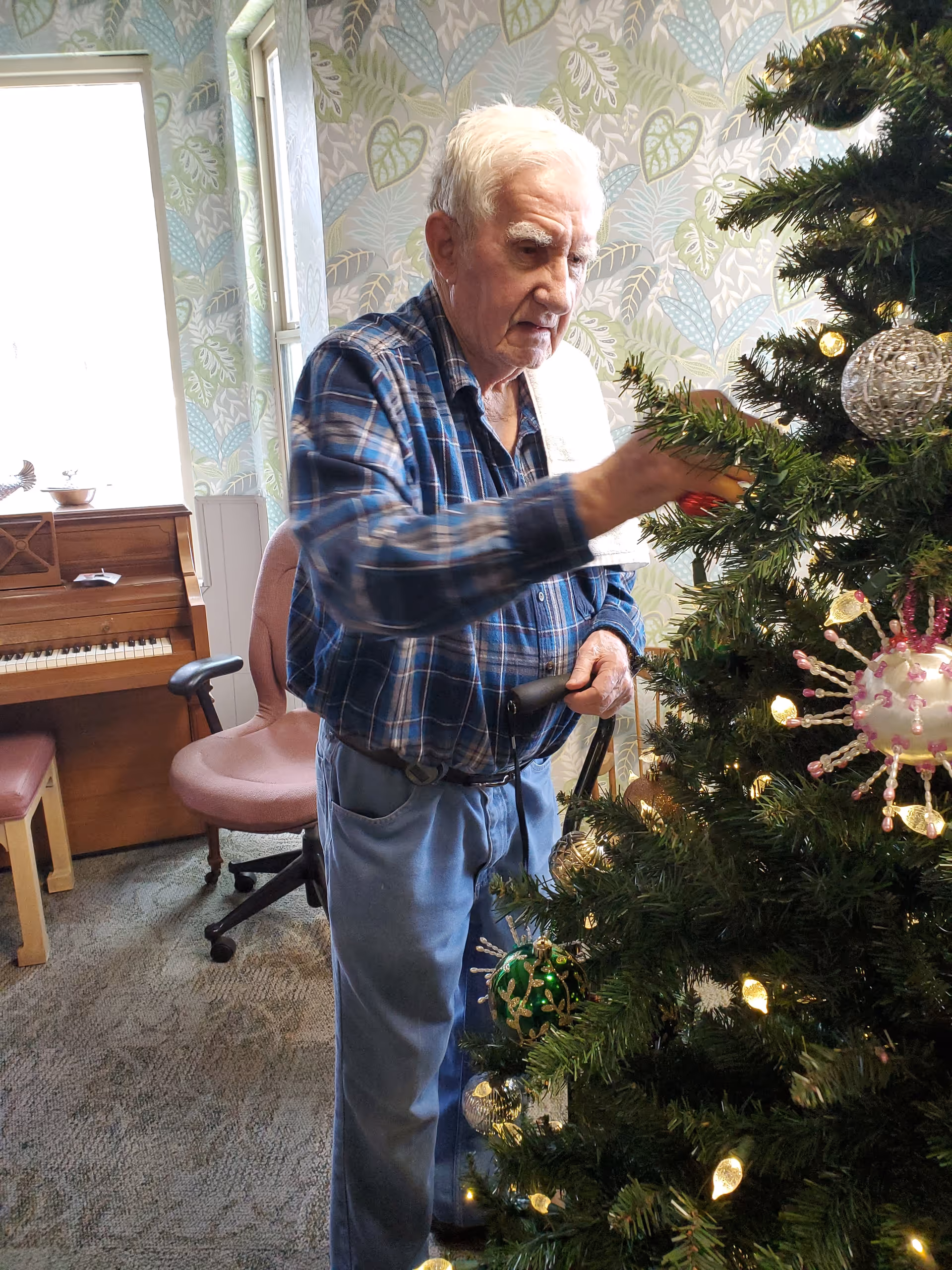 Photo 7 of Elderhaven Assisted Living