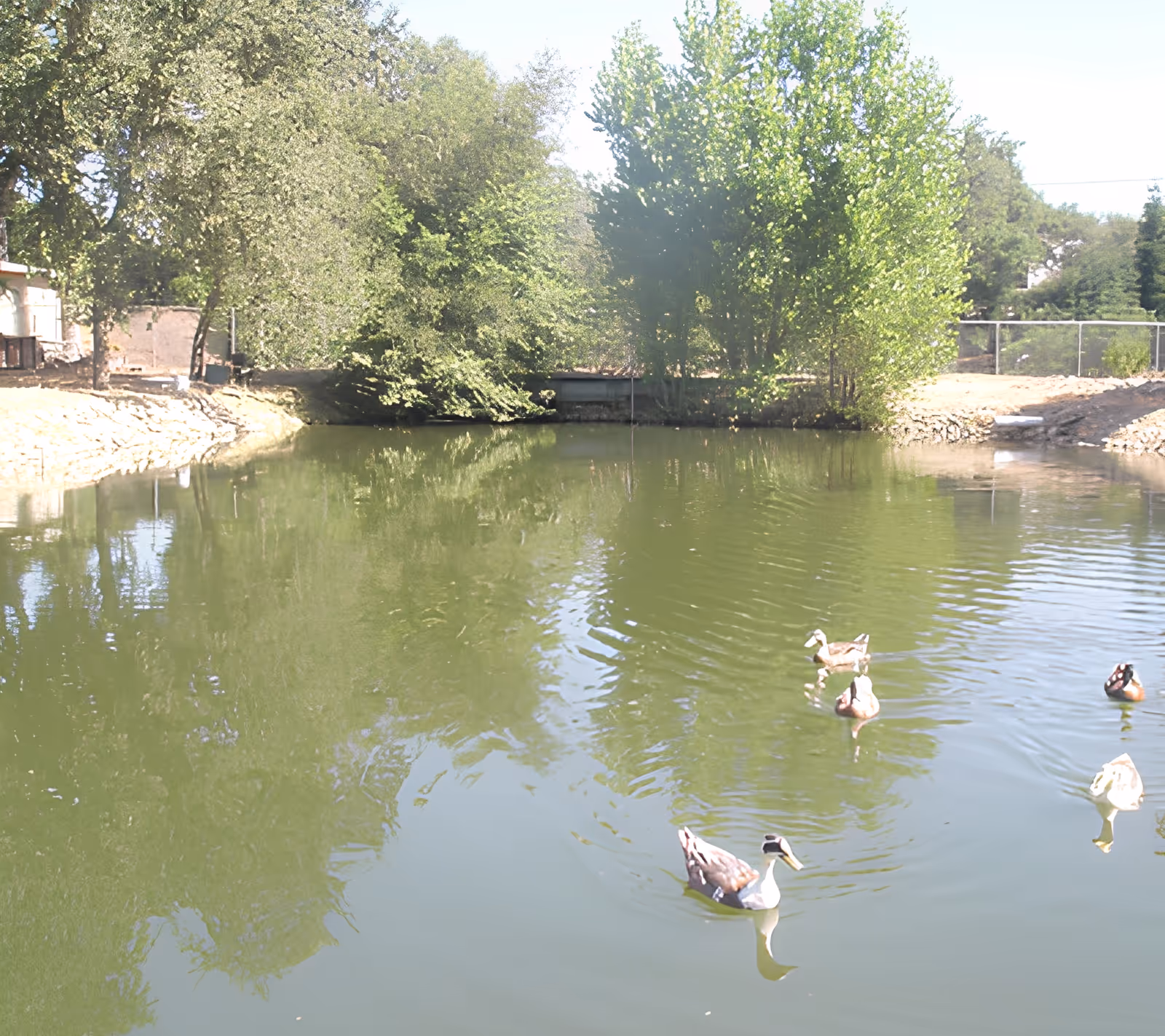 Photo 9 of Senior Care Villa of Loomis