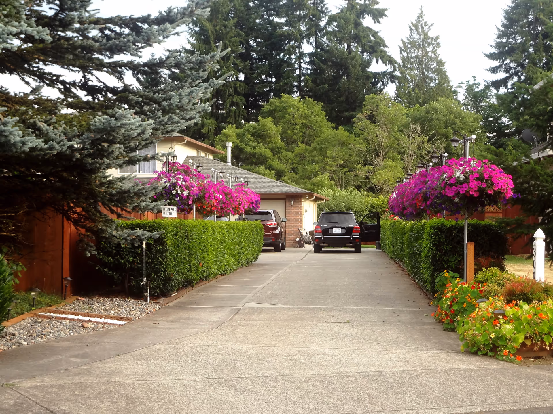 Photo of Green Haven