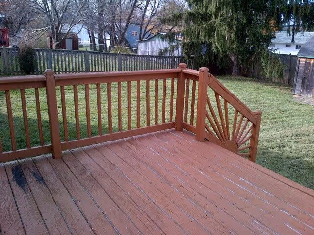 Photo 5 of Comfy Home Care LLC