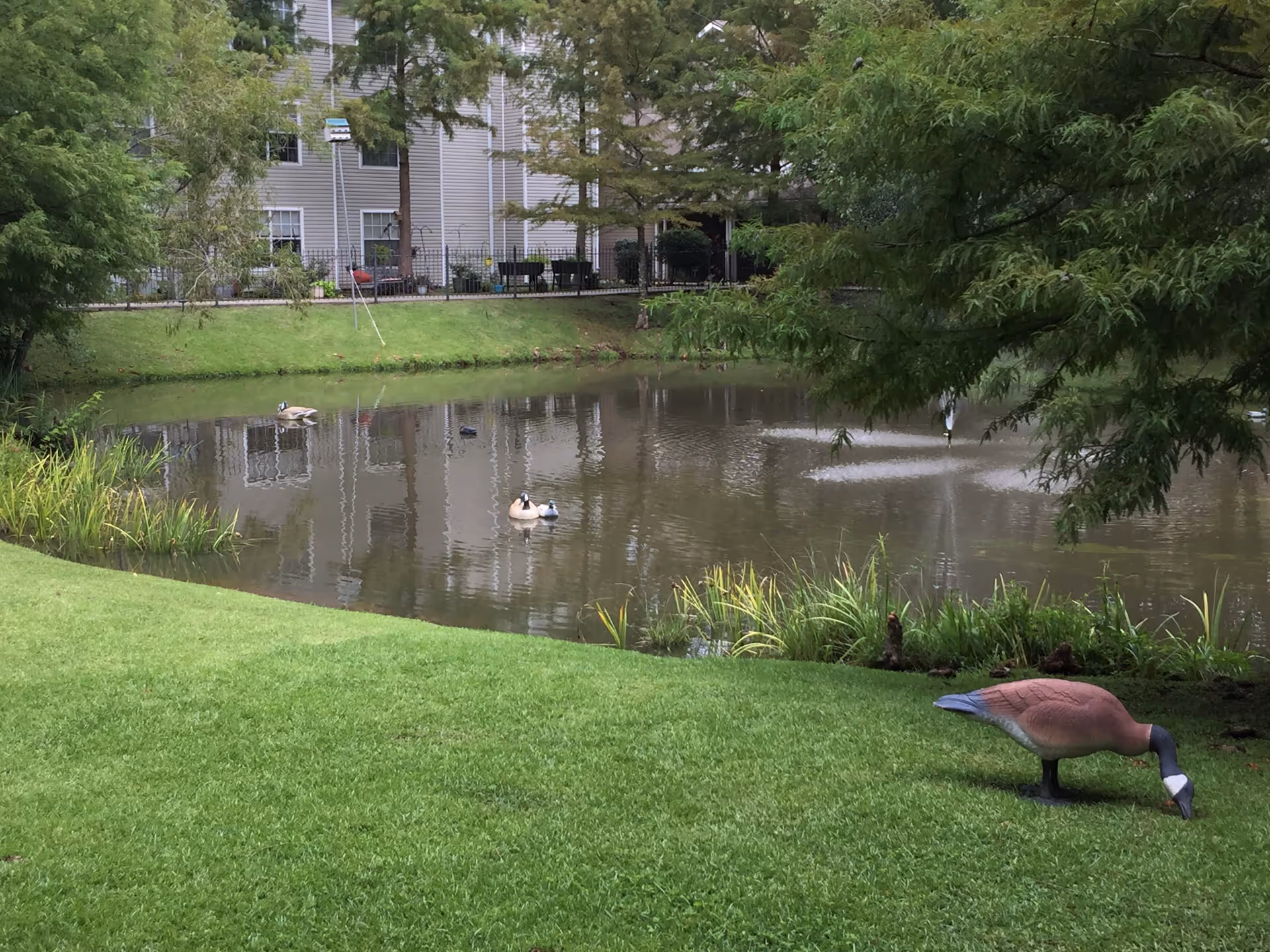 Photo 13 of The Windsor Senior Living Community
