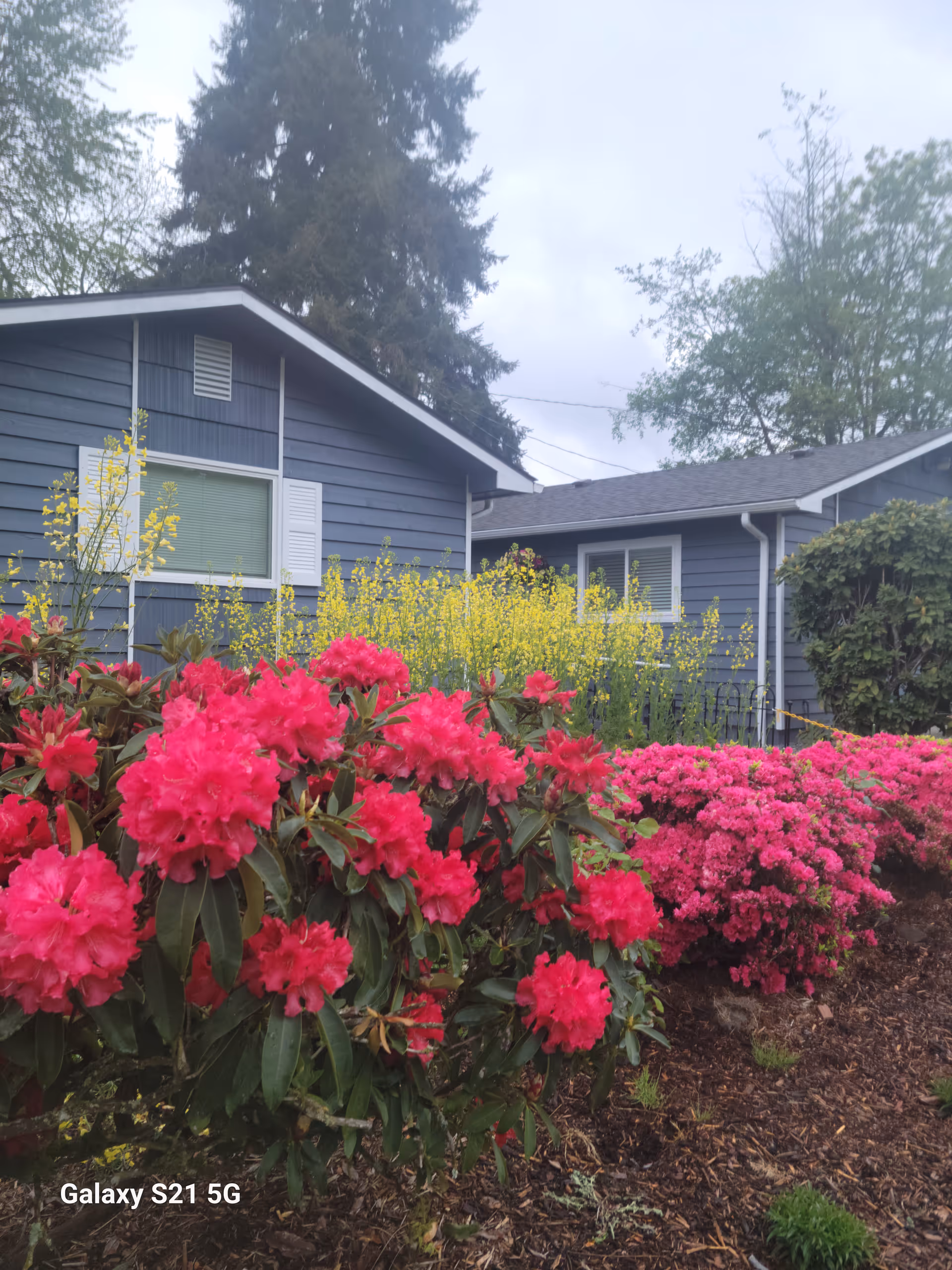 Photo of Morning Glen Adult Family Home