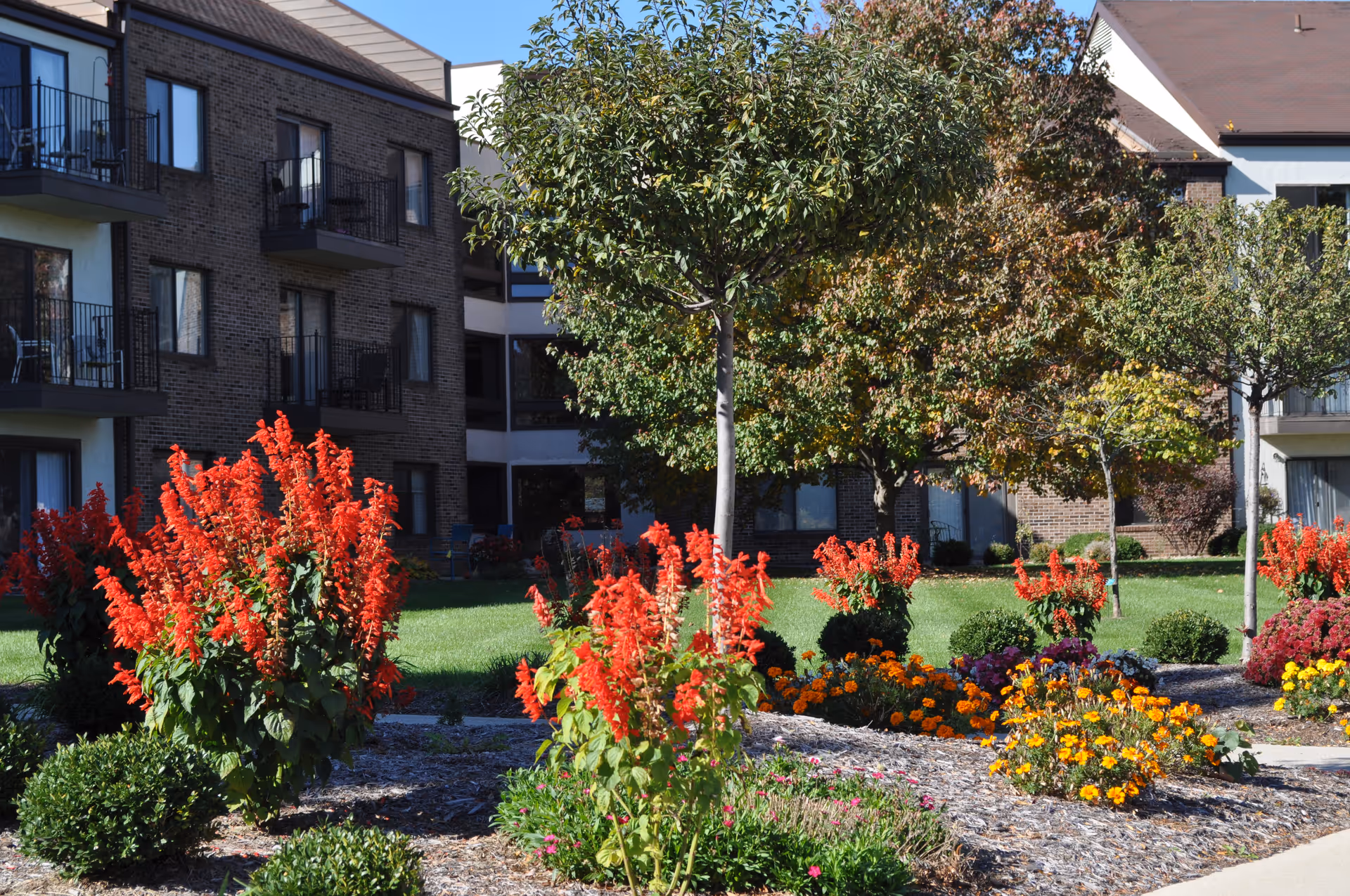 Photo 4 of Westminster Village