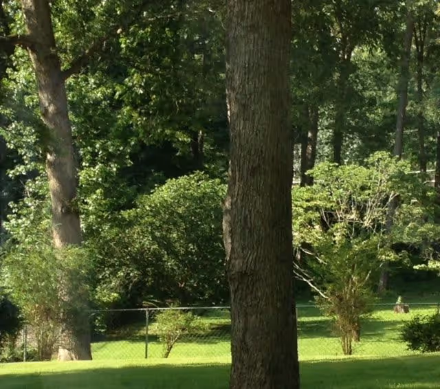 Photo 4 of K&W Care Homes, LLC