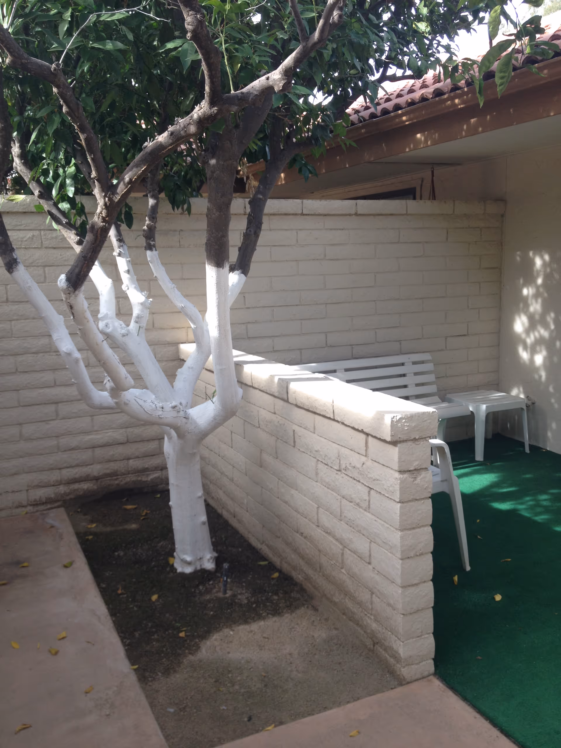 Photo 16 of Carillons Retirement Community