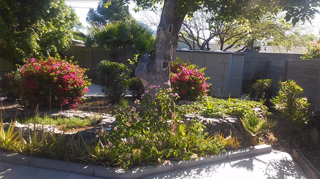 Photo 2 of Golden Eagle Assisted Living Home