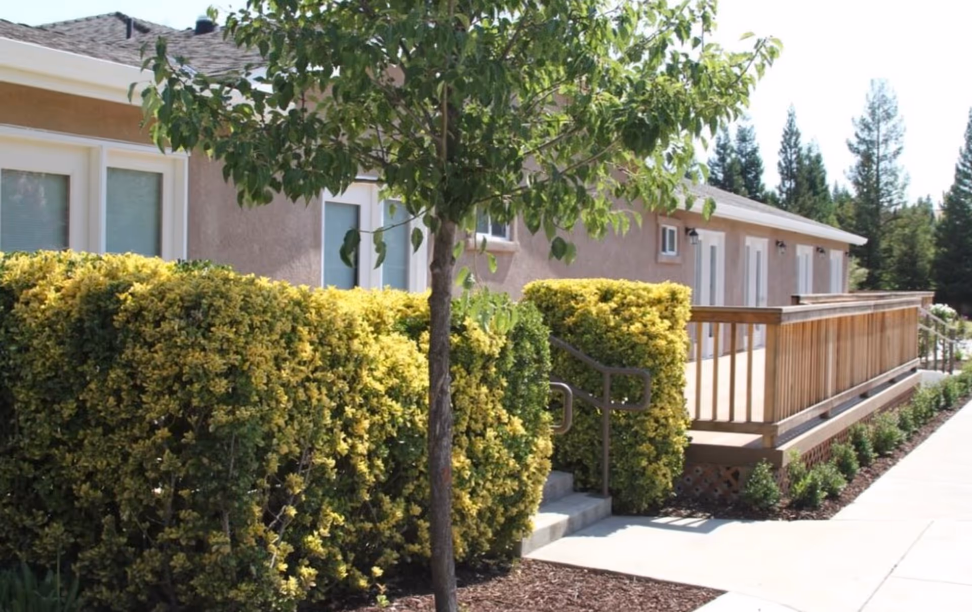 Photo 4 of Shearwater Senior Living