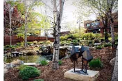 Photo 6 of Mayflower Community