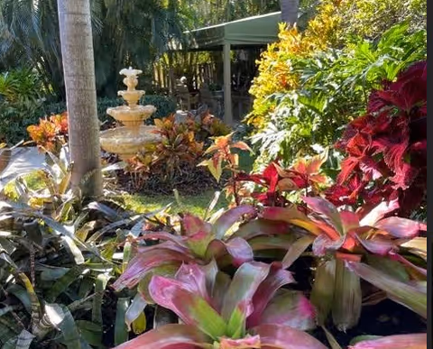 Photo 6 of Royal Palm Senior Residence