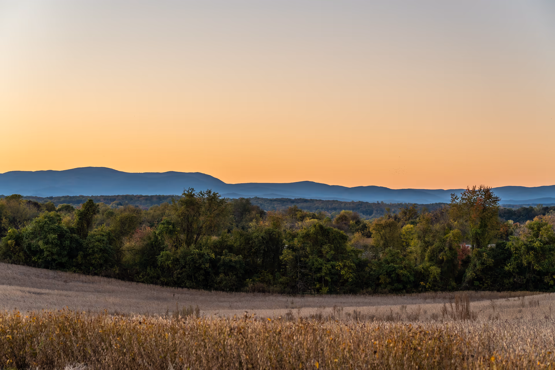 Photo 20 of The Culpeper