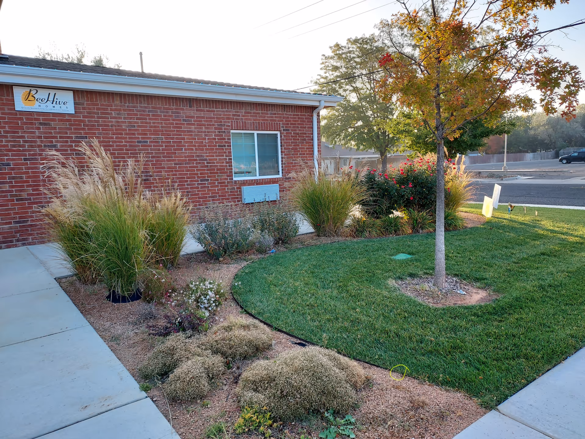 Photo 3 of BeeHive Homes of Plainview