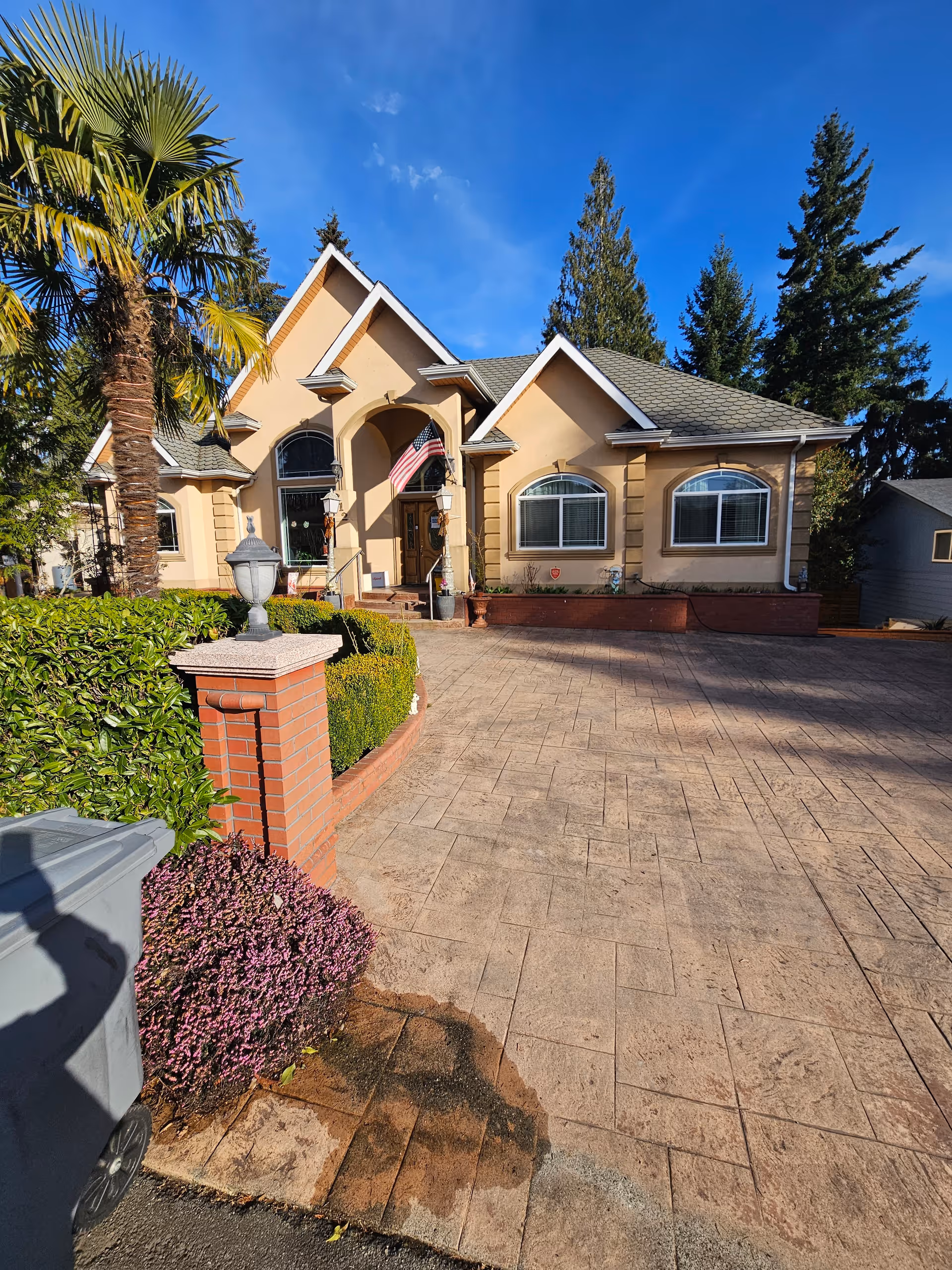 Photo of Bellevue Rose AFH
