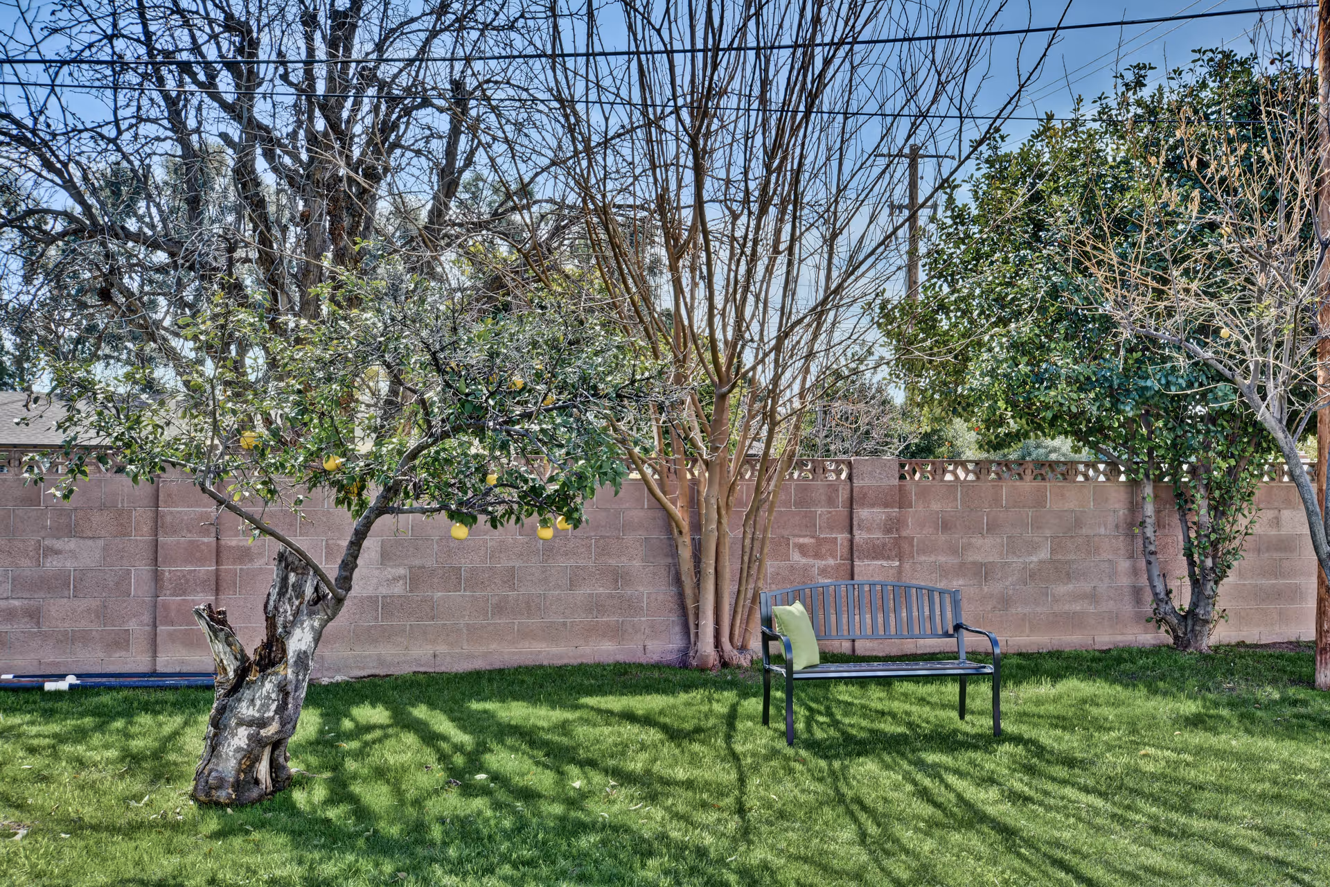 Photo 4 of Blue Sage Assisted Living - Biltmore/Arcadia