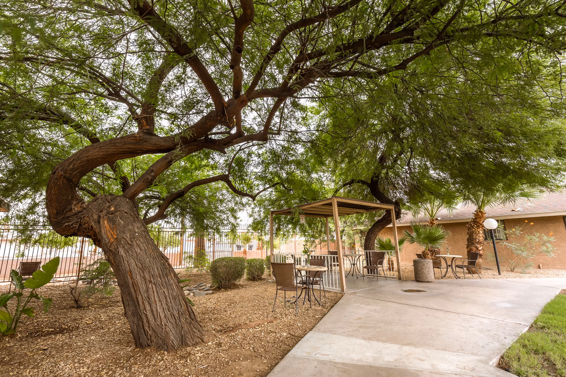 Photo 2 of Encanto Palms Assisted Living