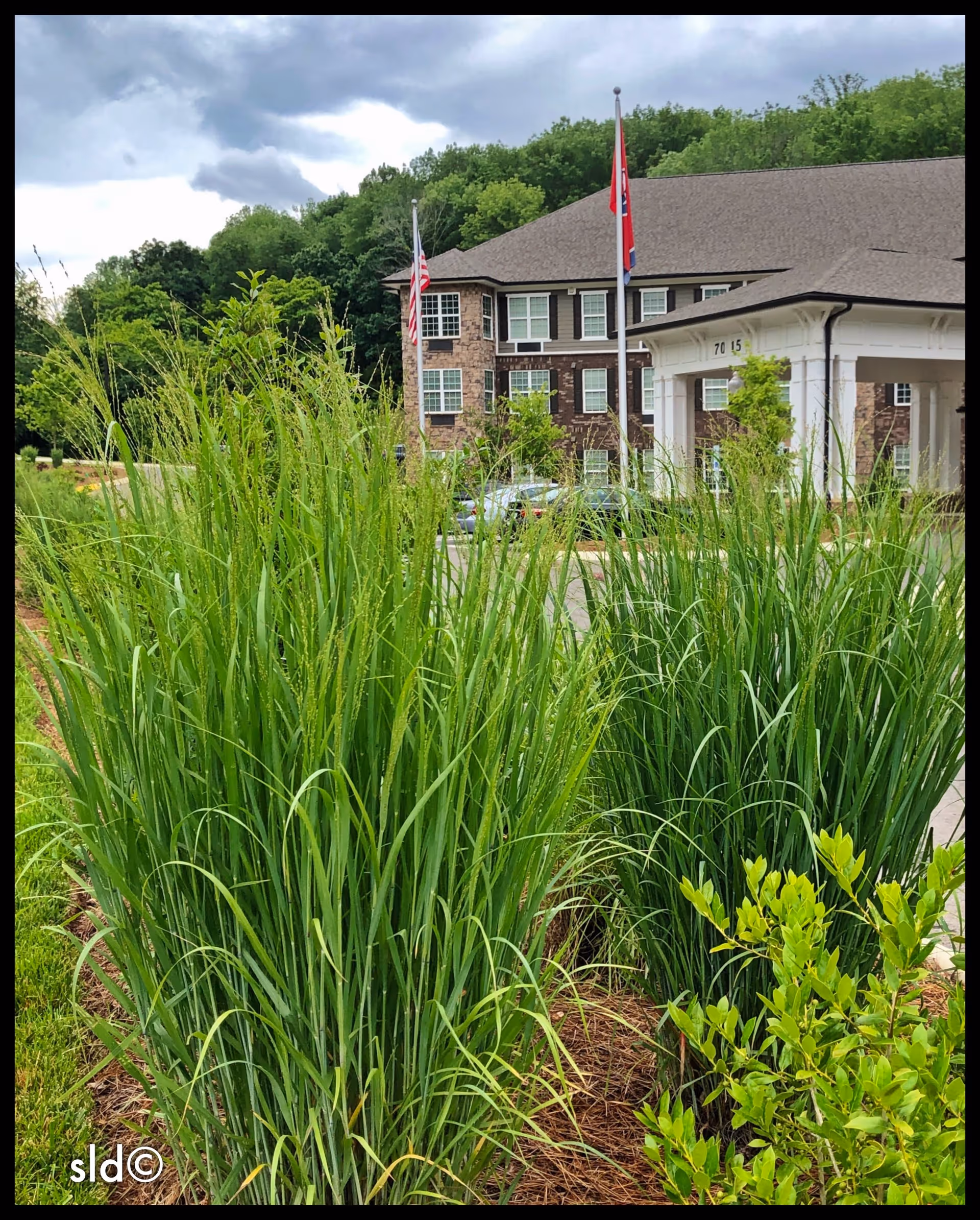 Photo 11 of Canterfield Senior Living