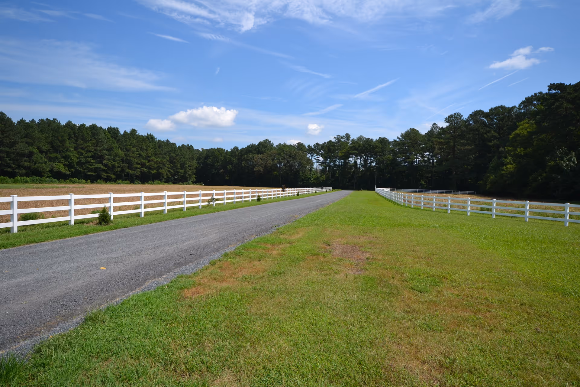 Photo 6 of Chesapeake Cottage Assisted Living