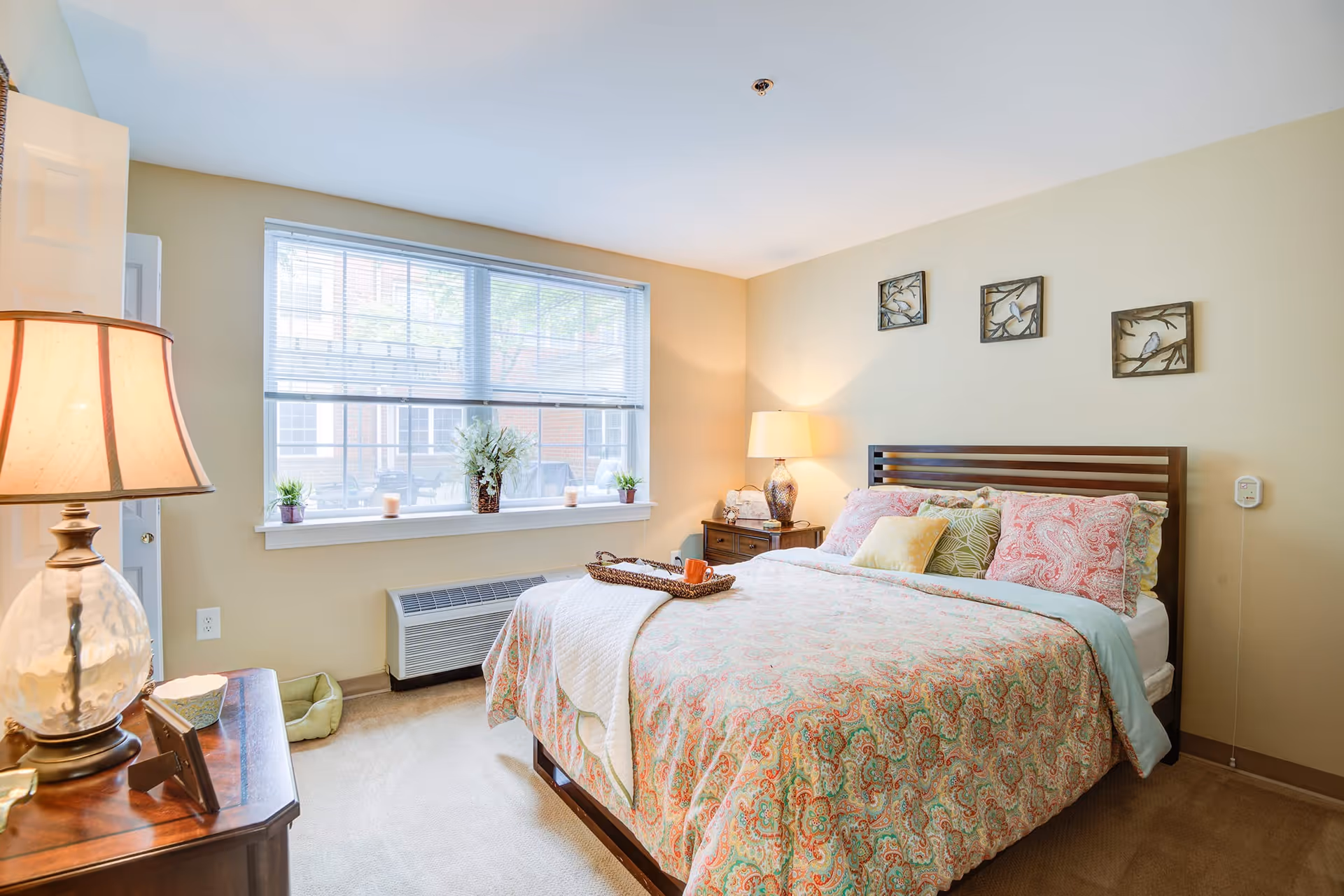 Photo 11 of Arbor Terrace Senior Living