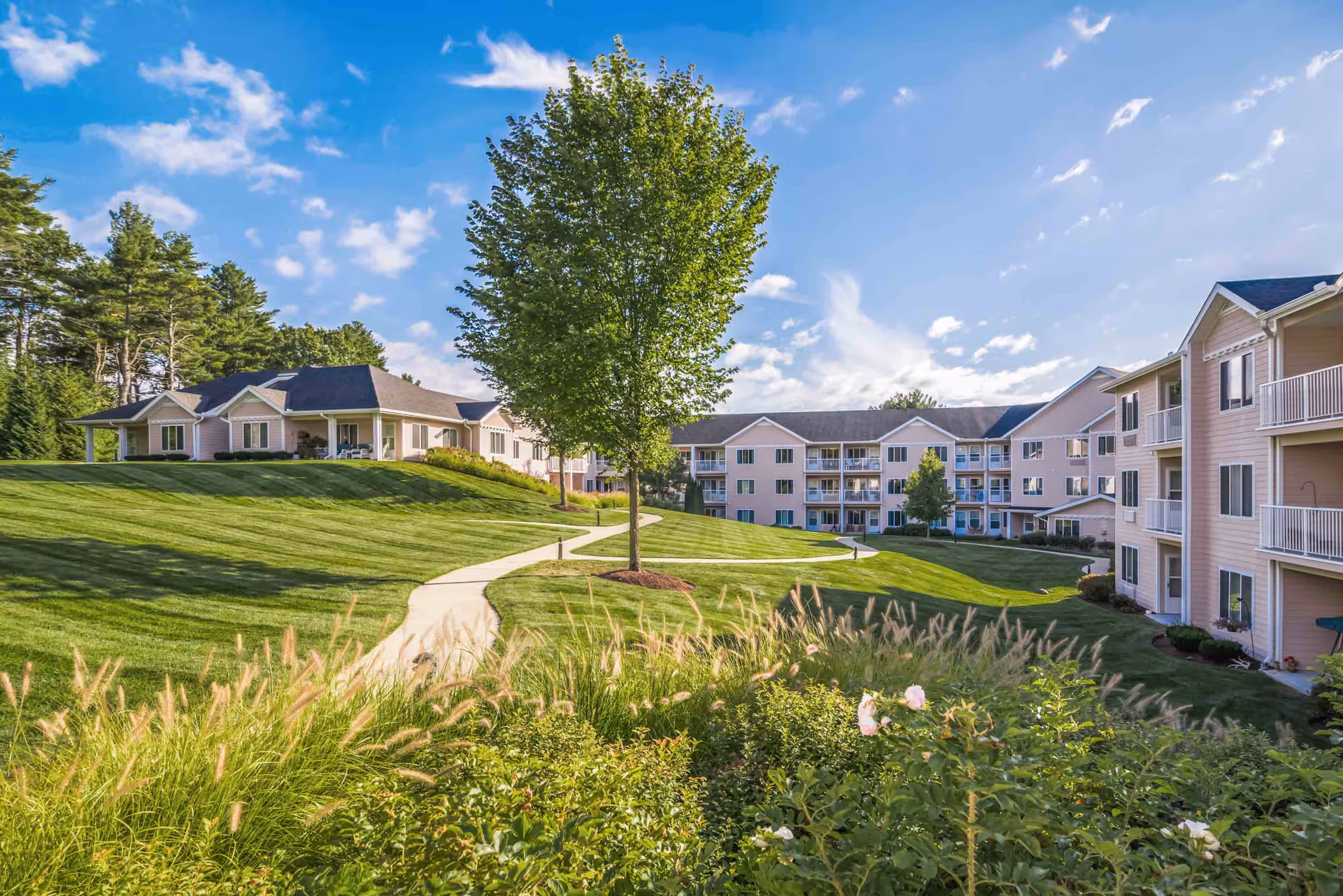 Photo 11 of Holiday Maple Suites