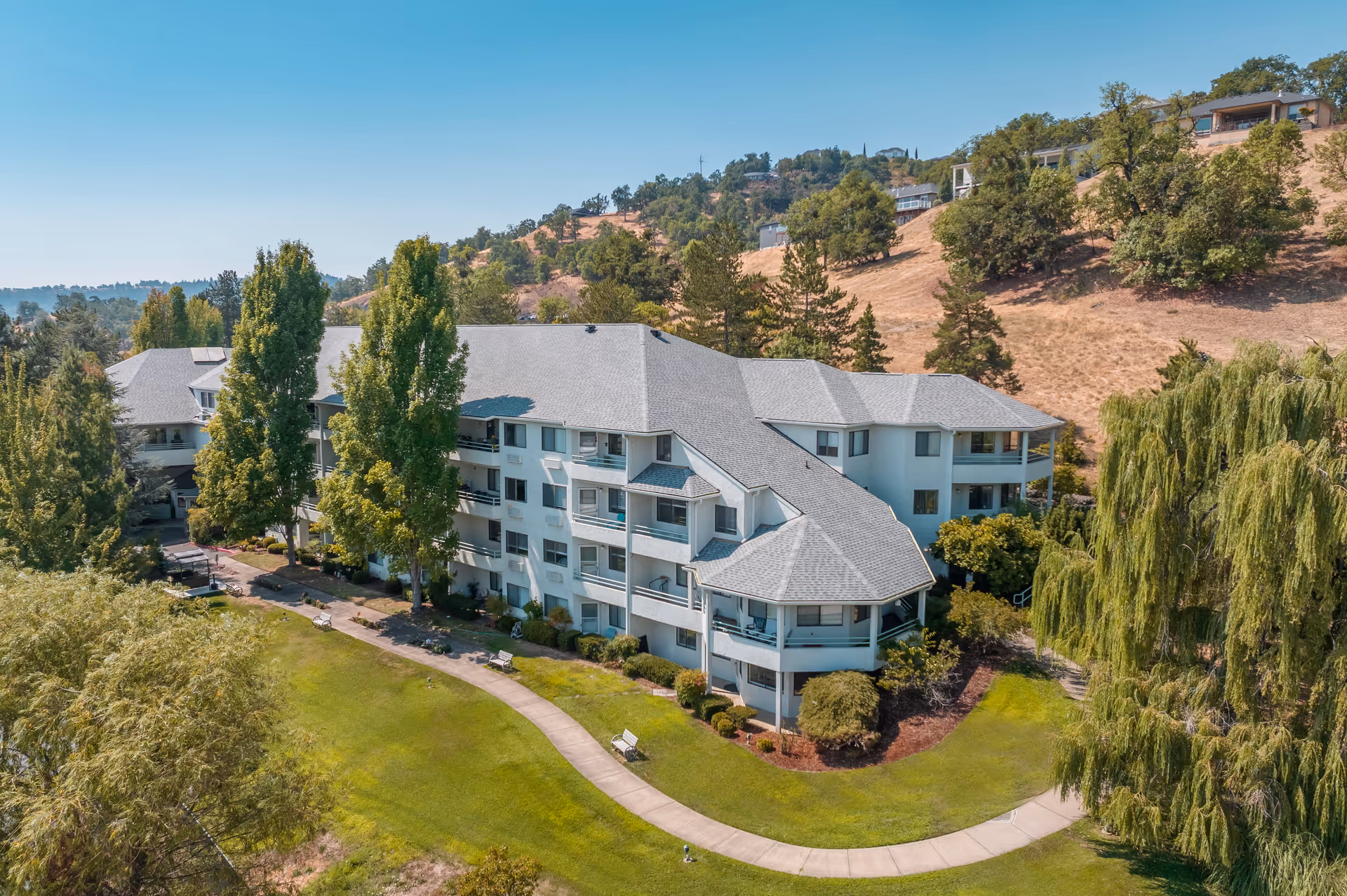 Photo of Solista Roseburg